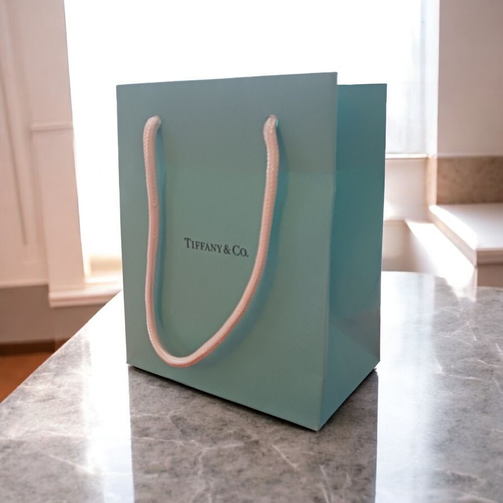 Tiffany & Co Blue Gift Bag 6x5x3 NWOT Luxury Gift Packaging